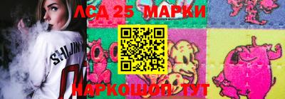 дмт Новокубанск