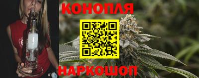 дмт Новокубанск