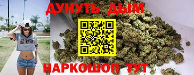 дмт Новокубанск