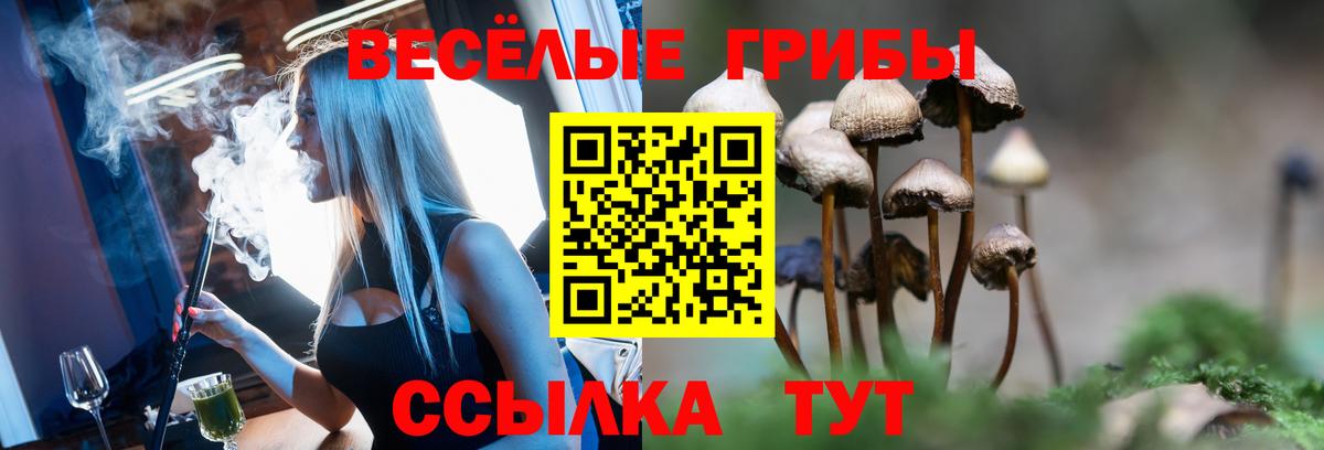 Галлюциногенные грибы мицелий  Вход с VPN  Семилуки 